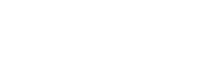 Standard Redesigned logo in white with transparent background